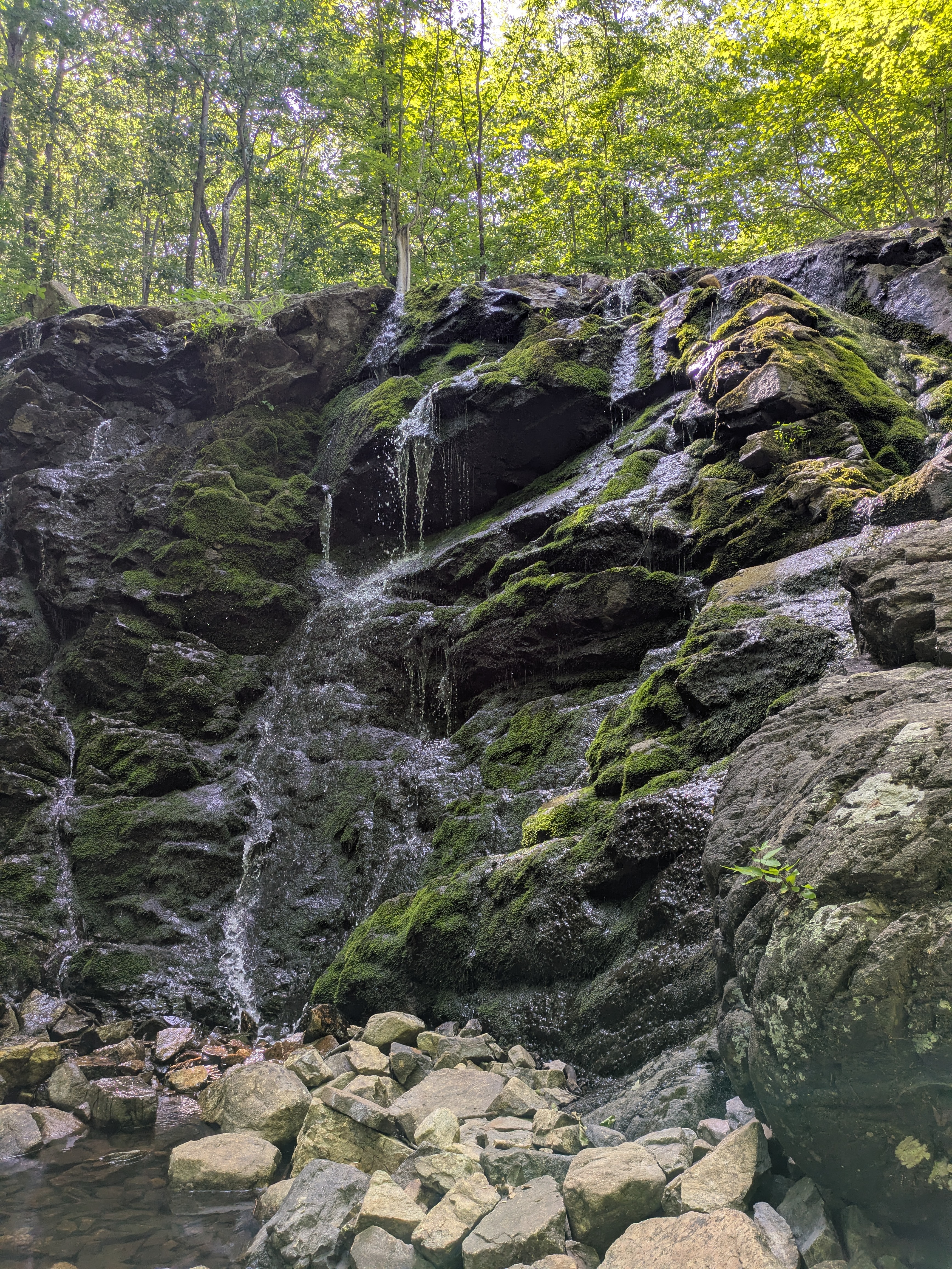 ramapo waterfall