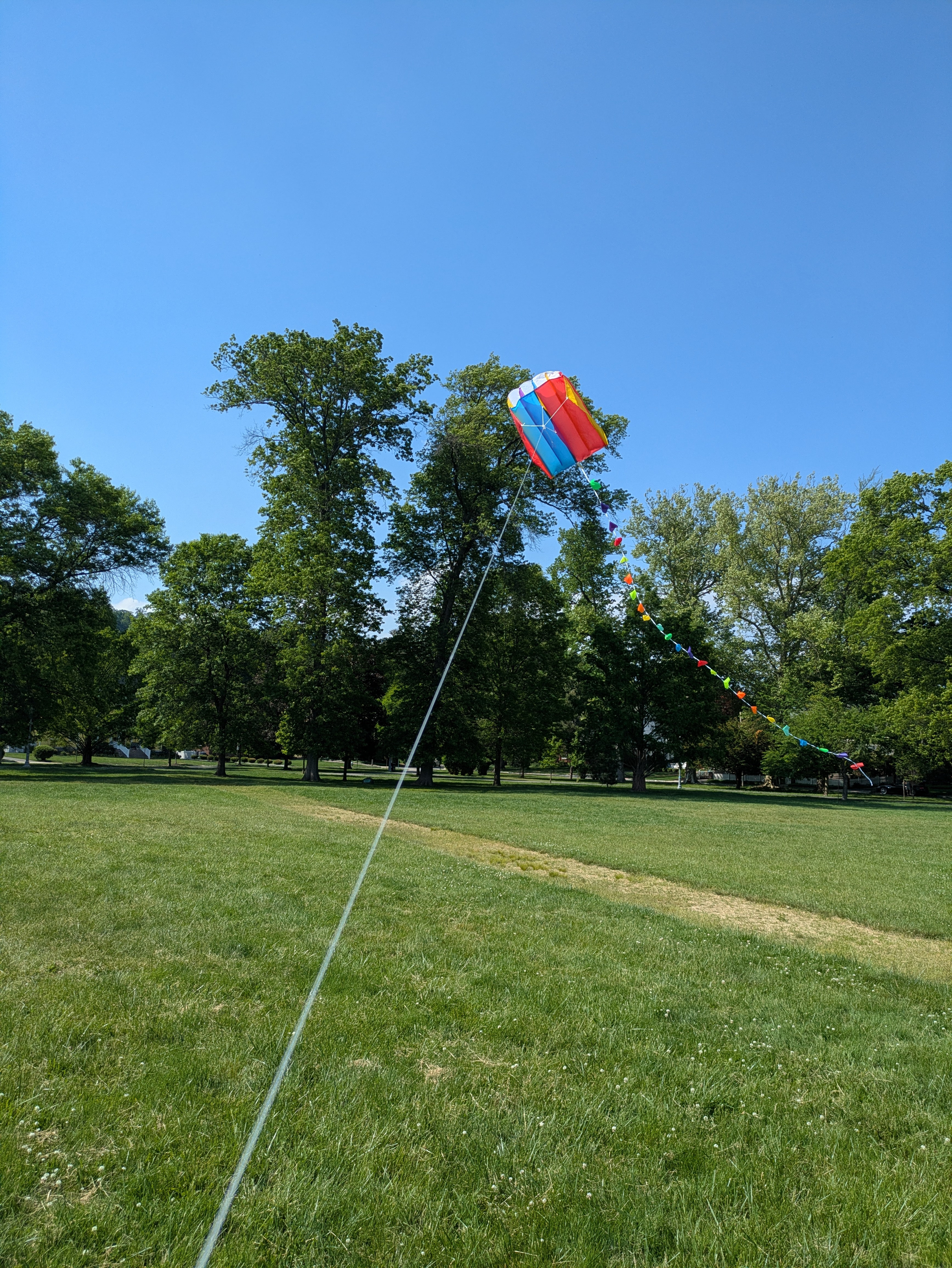 kite flying in the air